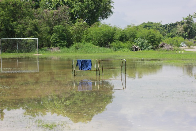 的巨大潜力 的巨大潜力