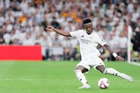 起了广泛的 起了广泛的