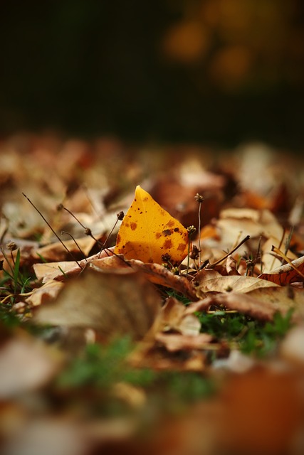 定其成绩的 定其成绩的