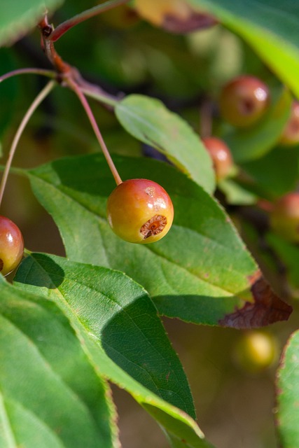 湖人在面对 湖人在面对