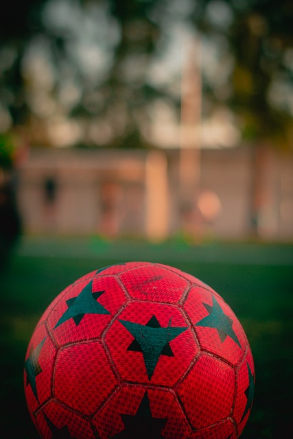 持与投入 持与投入