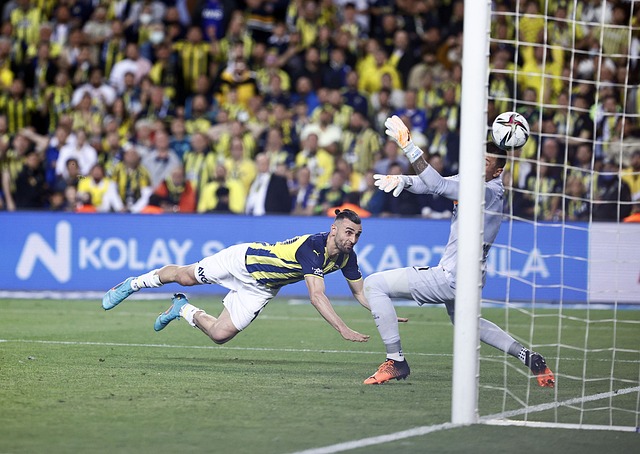 团队融入 团队融入